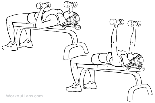 dumbbell_bench_press_f_workoutlabs